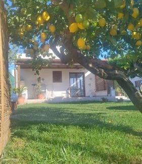 Birgi Vecchi Apartment | Oceanfront Brezza di Stagnone with Amazing Guest Rating 9.2