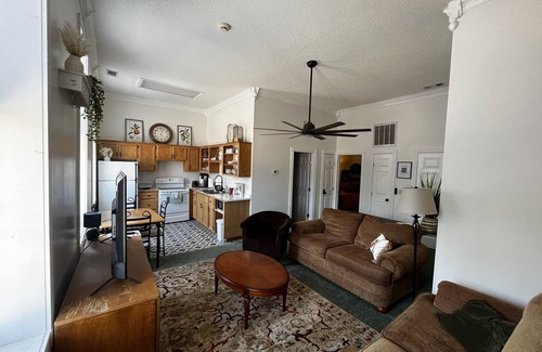 Mammoth Spring Apartment | Explore Brickhaven Loft on Historic Main Street - Walk to Nature