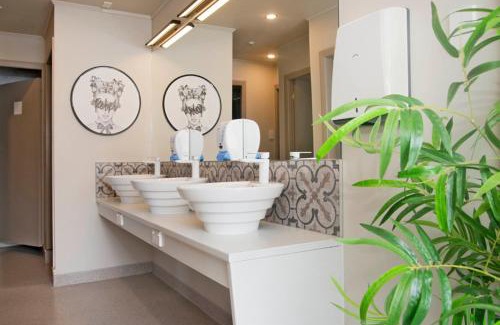 Nelson City Centre Hostel | Bridge Backpackers: Pet-Friendly Haven with Top Ratings