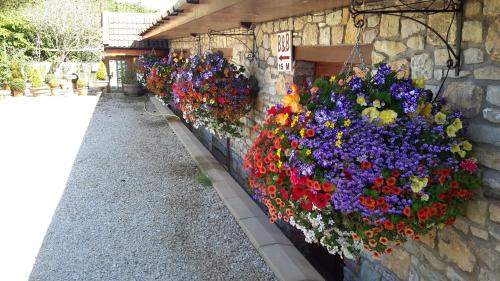 Barrow Gurney House | Cozy Bridge Farm Guesthouse: Family-Friendly Retreat