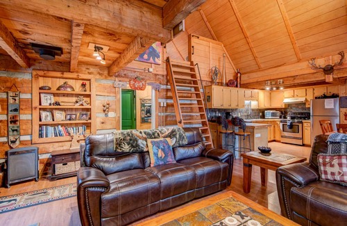 Valle Crucis Cabin | Pet-Friendly Bridgepoint Cabin: Walk to Watauga River