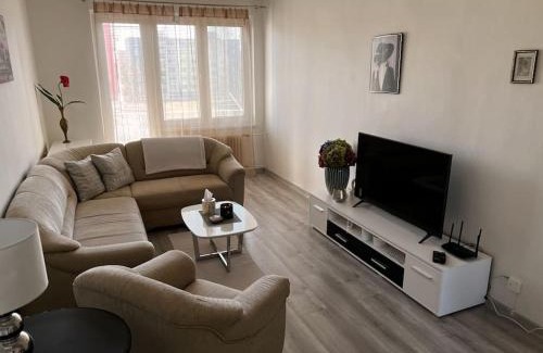 Velke Kapusany Apartment | Cozy Apartment with Netflix Access & Free Parking - 9.9/10