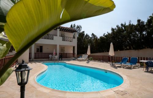 Peyia Town Apartment | Bright and Modern Studio with Poolside Relaxation and Fast WiFi