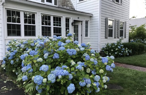 Misquamicut House | Bright Retreat Steps from the Best Beaches with Ocean Views
