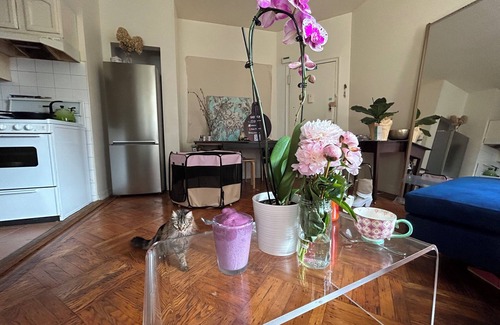 Brooklyn Apartment | Bright Boho Artist Retreat Steps from Prospect Park