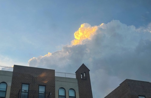 Brooklyn Apartment | Bright Boho Artist Retreat Steps from Prospect Park