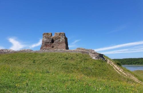 Øksenmølle House | Pet-Friendly Holiday Home Ebeltoft CCXX with 9/10 Rating
