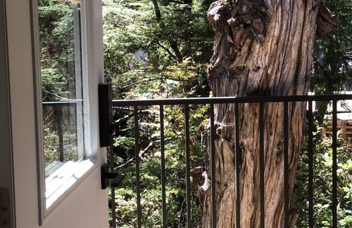 Ucluelet House | Bright Beachfront Suite with Ocean View & Spa Amenities