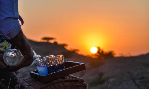 Pali Resort | Experience Brij Lakshman Sagar, Pali - Rated 9.5/10 with Spa