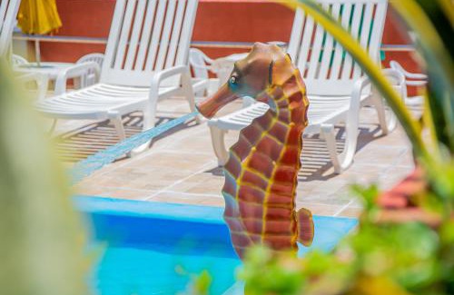 Praia do Meio Hotel | Seaside Escape at Brisa do Mar Beach Hotel - Pet Friendly Stay