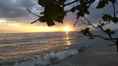 Barrero Apartment | Oceanfront Brisas Del Mar: Guest Rated 10/10 Paradise