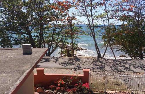 Barrero Apartment | Oceanfront Brisas Del Mar: Guest Rated 10/10 Paradise