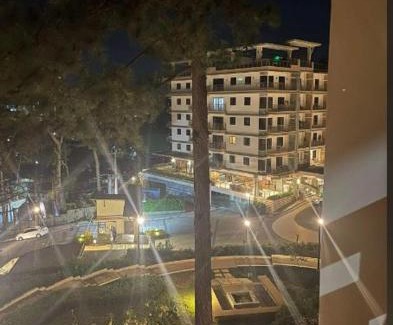 Baguio Apartment | Cozy 1BR Getaway at Bristle Ridge - Ideal for Families & Pets
