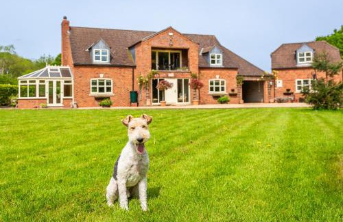 Lincoln House | Elegant Broadleaf Lodge: 5-Star Retreat for Families & Pets