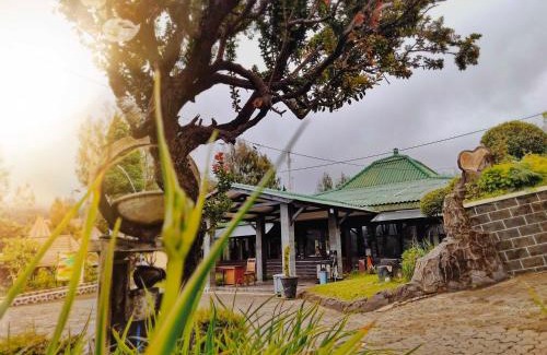 Ngadisari Hotel | Budget-Friendly Bromo Permai 1 with Breakfast & Family Fun