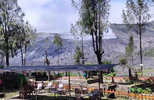 Ngadisari Hotel | Budget-Friendly Bromo Permai 1 with Breakfast & Family Fun