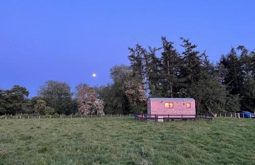 Garthmyl Bed & Breakfast | Bron Hafren: Guest Rated 10/10 with Breakfast & Accessibility
