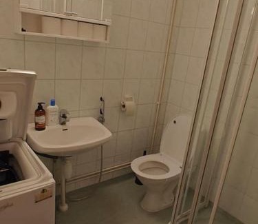 Larsmo Apartment | Bright Brooms: Newly Renovated Studio in City Center