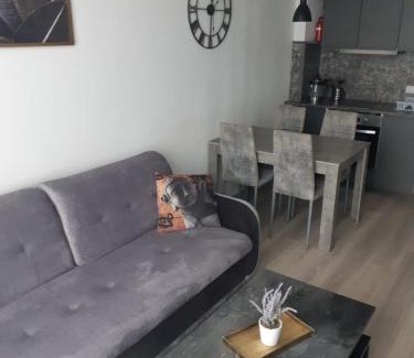 Siauliai Apartment | Welcoming Bruklinas: Family-Friendly Retreat, Rated 9.4