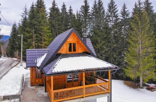 Zlatibor Ski Chalet | Pet-Friendly Brvnara Vukovine: Guest Rated 9.9/10