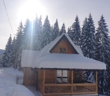 Zlatibor Ski Chalet | Pet-Friendly Brvnara Vukovine: Guest Rated 9.9/10