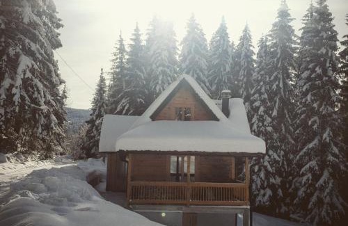 Zlatibor Ski Chalet | Pet-Friendly Brvnara Vukovine: Guest Rated 9.9/10