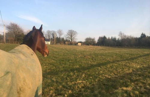 Devils Bridge Other | Guest Rated 10/10: Brynllwyd Glamping with Hot Tub & Kitchen