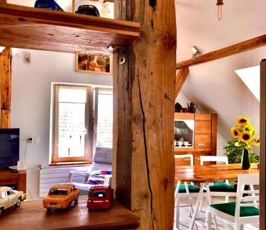 Cieplice Apartment | Mountain View Retreat: Brzoza i Świerk, 4-Star Experience