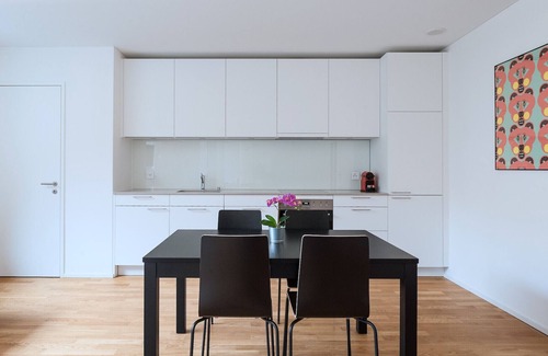 Basel City Centre Apartment | Discover BS Bear II - Messe HITrental Apartment Awaits
