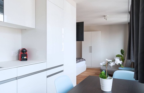 Basel City Centre Apartment | Discover BS Picasso I - Pet Friendly Gem Near Marktplatz