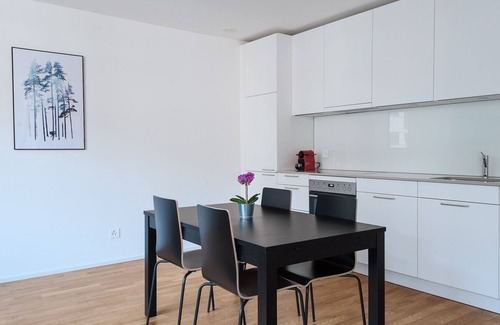 Basel City Centre Apartment | Modern BS Squirrel I - Messe HITrental Apartment Awaits