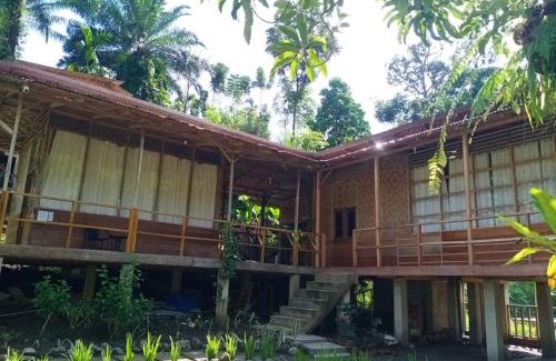 Batang Serangan House | Discover Bua Guesthouse Tangkahan: Pet-Friendly Retreat