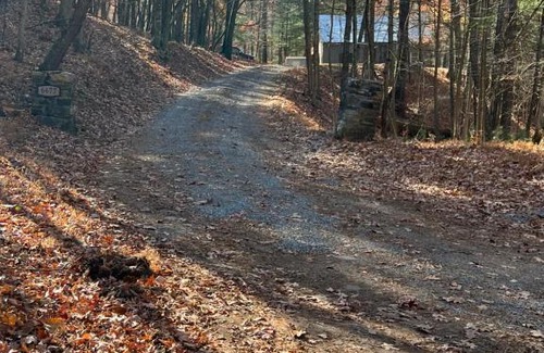 Mathias House | Pet-Friendly Buckhorn Cabin with 9.7/10 Guest Rating