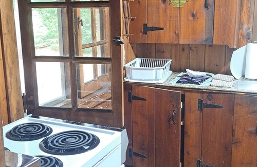 Mio Cabin | Pet-Friendly Buckwild Cabin by Au Sable River - Rated 9.2