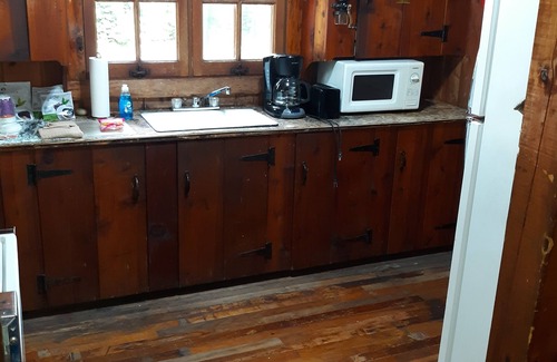 Mio Cabin | Pet-Friendly Buckwild Cabin by Au Sable River - Rated 9.2