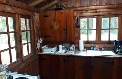 Mio Cabin | Pet-Friendly Buckwild Cabin by Au Sable River - Rated 9.2
