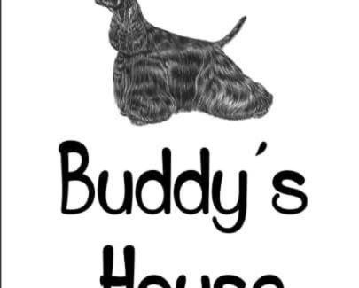Abbadia Lariana Apartment | Discover Buddy's House: 4-Star Oceanfront Retreat