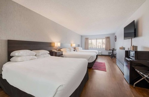 Ontario Hotel | Affordable Hotel Stay: Indoor Pool, Free Breakfast & Pets Welcome