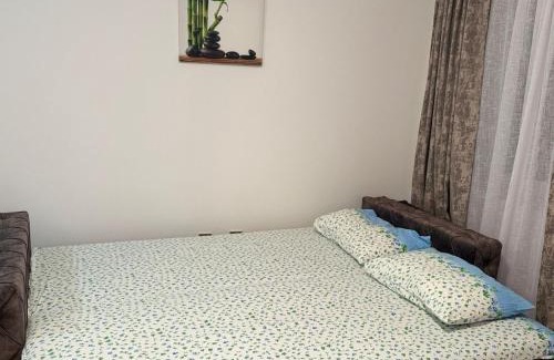 Podmaine Apartment | Pet and Child Friendly Budva Lux Apartments Await You