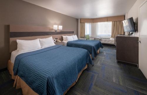 Cow Hollow Hotel | Comfortable Stay at Buena Vista Motor Inn - Family Friendly