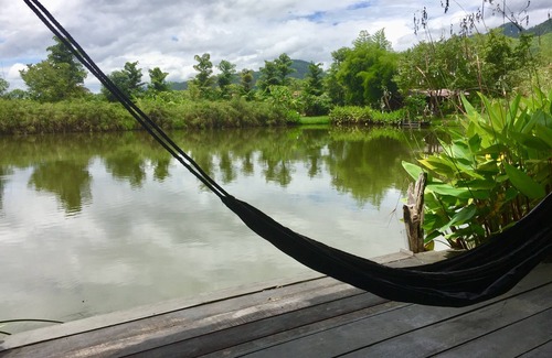 Pai Hotel | Experience Bueng Pai Farm: Family-Friendly with Pool Access
