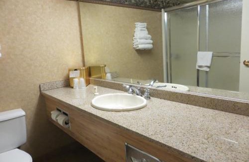 Primm Hotel | Discover Buffalo Bills Resort & Casino: Pet-Friendly Retreat