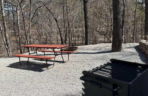 Bruno Cabin | Pet-Friendly Buffalo River RV Park & Campground Cabin