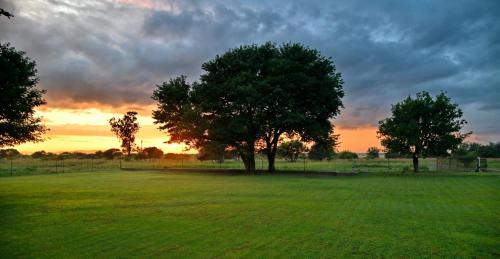 Kgetlengrivier Cabin | Cozy High Tree Lodge: Guest Rated 9/10 with Hot Tub & Fireplace