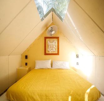Buenavista Hotel | Cozy Glamping at Bufo Alvarius Sanctuary in Bacalar