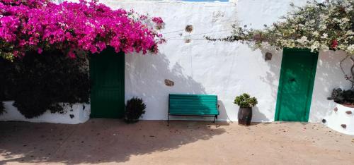 Tinajo House | Discover Buganvilla Molino: Guest Rated 9.7, Pet Friendly Stay