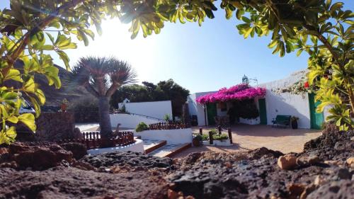 Tinajo House | Discover Buganvilla Molino: Guest Rated 9.7, Pet Friendly Stay