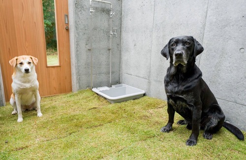 Kominato Onsen House | Explore Kamogawa City: Pet-Friendly Suite with Pool & Spa