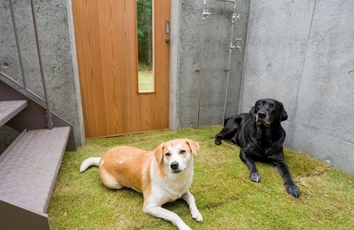 Kominato Onsen House | Explore Kamogawa City: Pet-Friendly Suite with Pool & Spa
