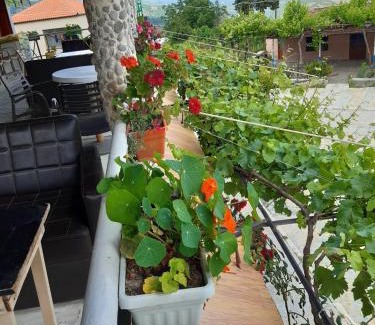 Albania Hotel | Discover Bujtina Gjerbes: Family-Friendly Dining Awaits